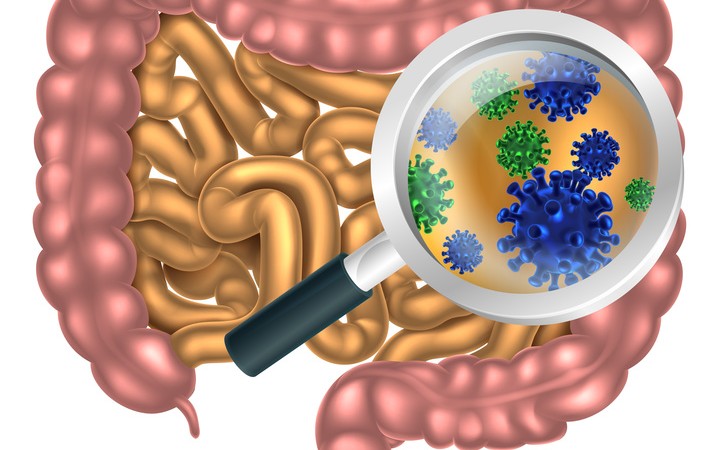 How Your Gut Microbiome Links to a Healthy Mouth