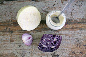 Paleo Salad Recipes: Cabbage Slaw