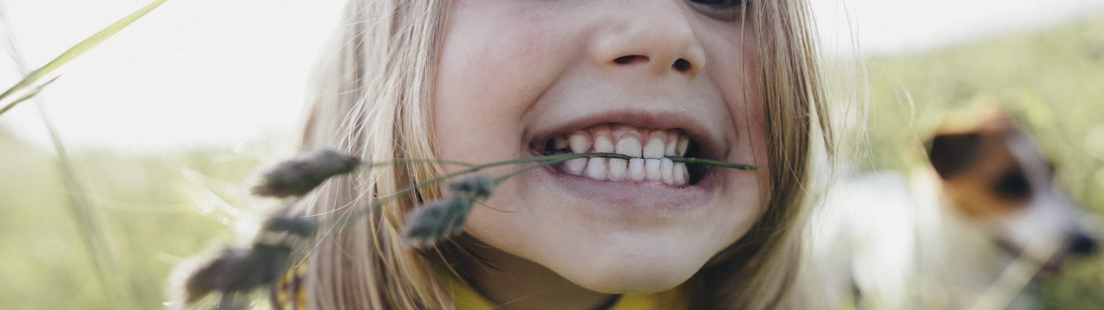 How to Cure Tooth Decay | A Dentist’s Guide to Reverse Cavities in 3 Steps